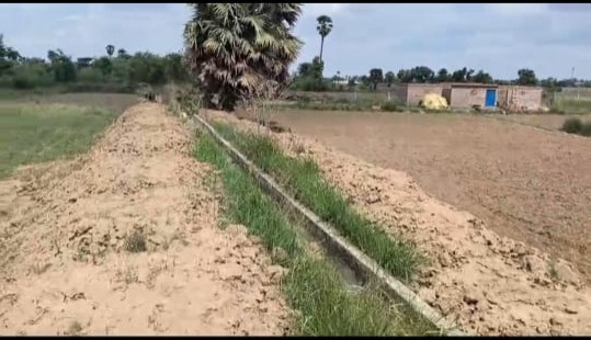  1200 Sq.ft. Residential Plot for Sale in Kanhauli, Bihta, Patna