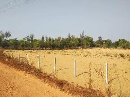  Agricultural Land for Sale in Gokarna, Uttara Kannada
