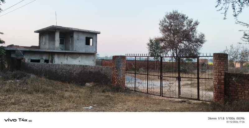  2 Acre Agricultural/Farm Land for Rent in Tosham, Bhiwani