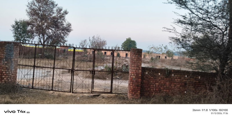  2 Acre Agricultural/Farm Land for Rent in Tosham, Bhiwani