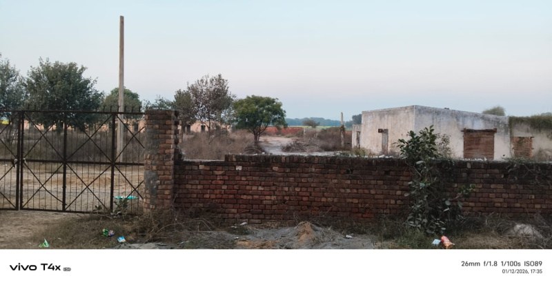  2 Acre Agricultural/Farm Land for Rent in Tosham, Bhiwani