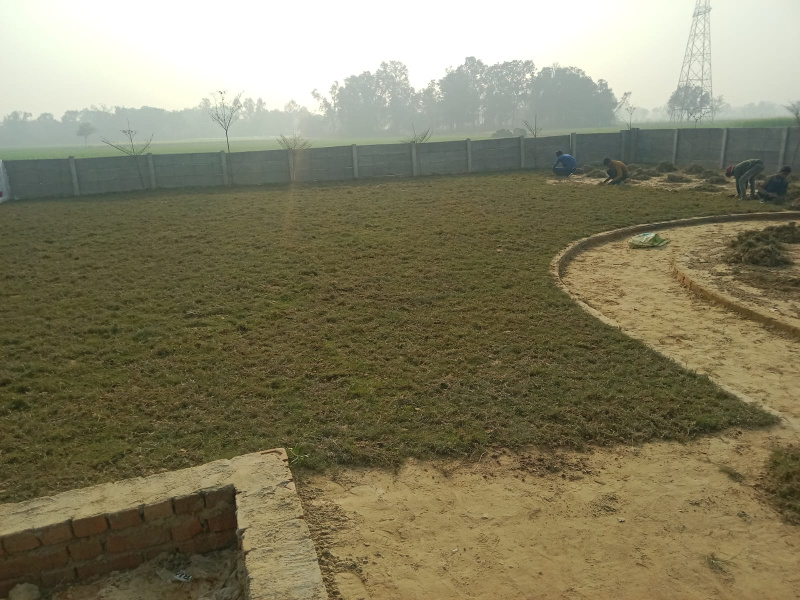  1200 Sq.ft. Residential Plot for Sale in Sultanpur Road, Lucknow