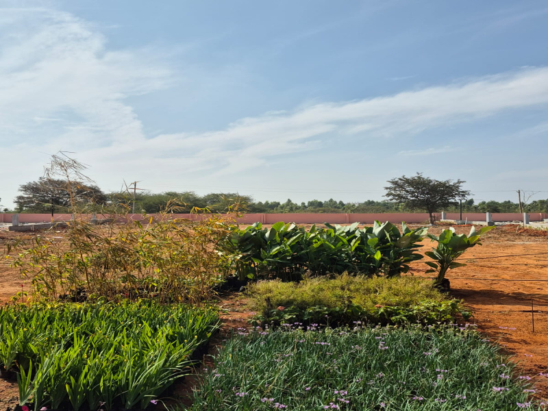  1350 Sq.ft. Residential Plot for Sale in Doddaballapur Road, Bangalore