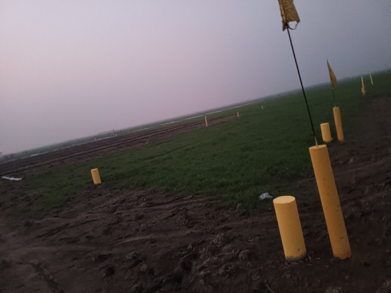  1620 Sq.ft. Residential Plot for Sale in Chapra, Saran