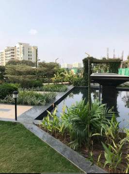 1 BHK 450 Sq.ft. Builder Floor for Rent in Adarsh Colony, Pune