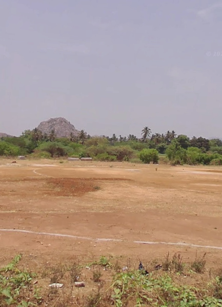 10 Acre Agricultural/Farm Land for Rent in Nallakadirenahalli, ChikBallapur