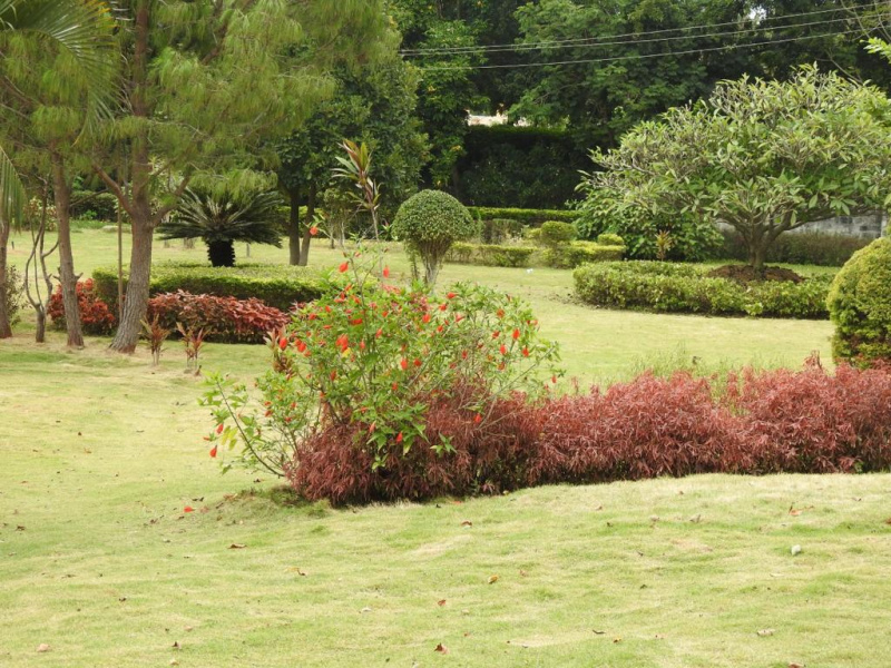  1500 Sq.ft. Residential Plot for Sale in Jigani, Bangalore