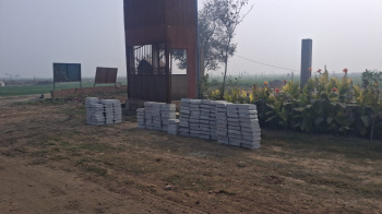  Agricultural Land for Sale in Techzone 1, Greater Noida