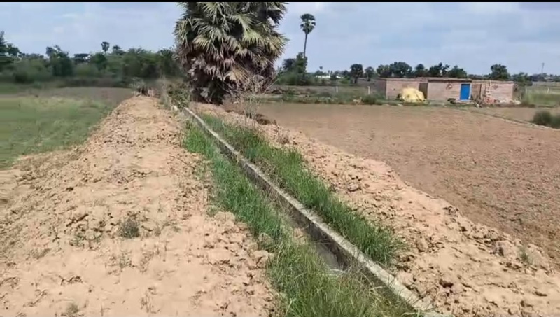  1200 Sq.ft. Residential Plot for Sale in Saguna More, Patna