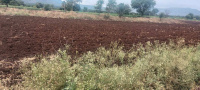  Agricultural Land for Sale in Kudal, Satara