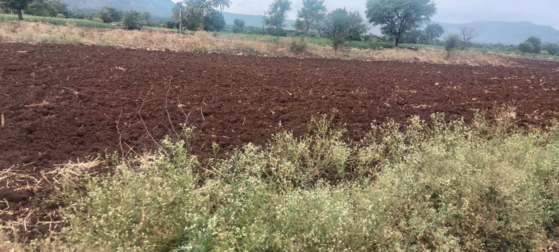 47 Guntha Agricultural/Farm Land for Sale in Kudal, Satara