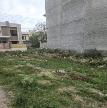  Residential Plot for Sale in Sector 115 Mohali