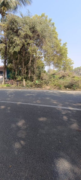  7 Guntha Residential Plot for Sale in Markona, Bhadrak