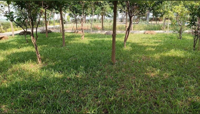  1200 Sq.ft. Residential Plot for Sale in Gauribidanur, Chikkaballapur, Bangalore