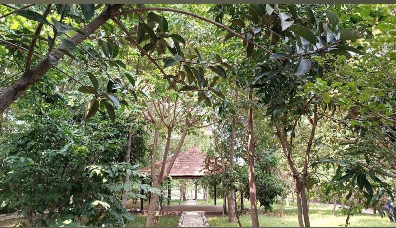  1200 Sq.ft. Residential Plot for Sale in Gauribidanur, Chikkaballapur, Bangalore