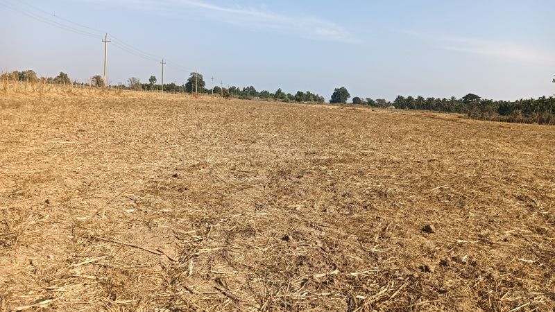  142442 Sq.ft. Residential Plot for Sale in Sominakoppa, Shimoga