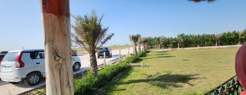  100 Sq. Yards Residential Plot for Sale in Hamidpur, Aligarh