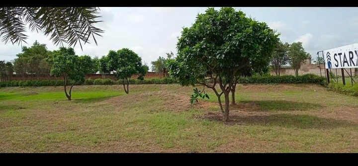  100 Sq. Yards Residential Plot for Sale in Alwar Bypass Road, Bhiwadi