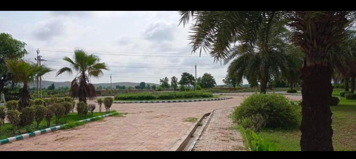  100 Sq. Yards Residential Plot for Sale in Alwar Bypass Road, Bhiwadi
