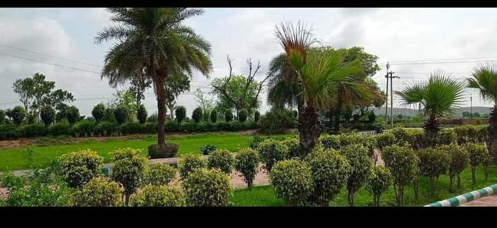  100 Sq. Yards Residential Plot for Sale in Alwar Bypass Road, Bhiwadi