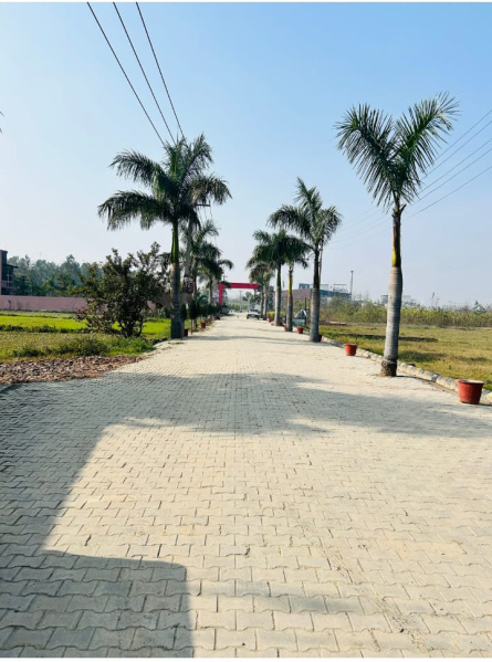  50 Sq. Yards Residential Plot for Sale in Patanjali Yogpeeth, Haridwar