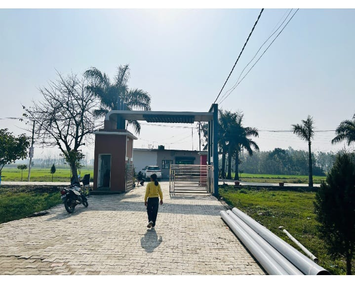  50 Sq. Yards Residential Plot for Sale in Patanjali Yogpeeth, Haridwar