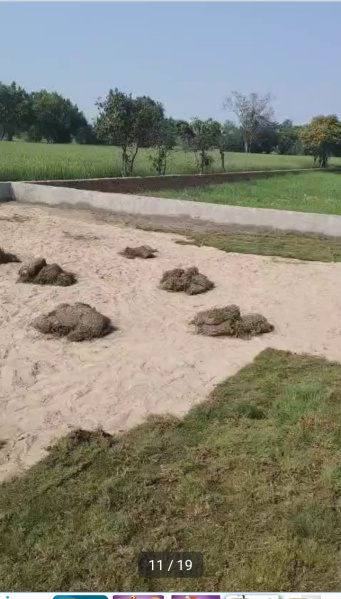  80 Sq. Yards Residential Plot for Sale in Goverdhan Road, Mathura