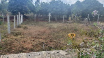  Residential Plot for Sale in Doddaballapur, Bangalore