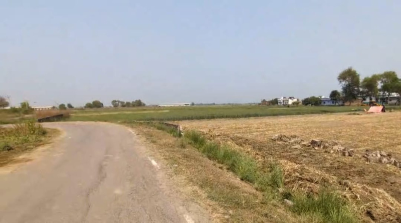  1200 Sq.ft. Residential Plot for Sale in Rajgir, Nalanda