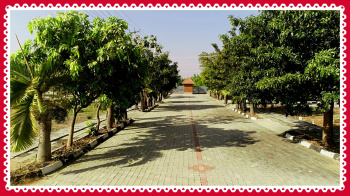  Residential Plot for Sale in Gauribidanur, Bangalore