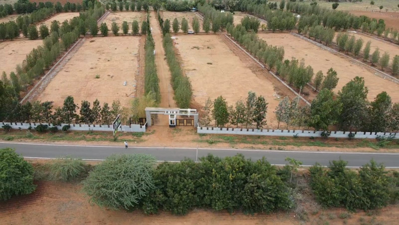  2400 Sq.ft. Residential Plot for Sale in Gauribidanur, Bangalore