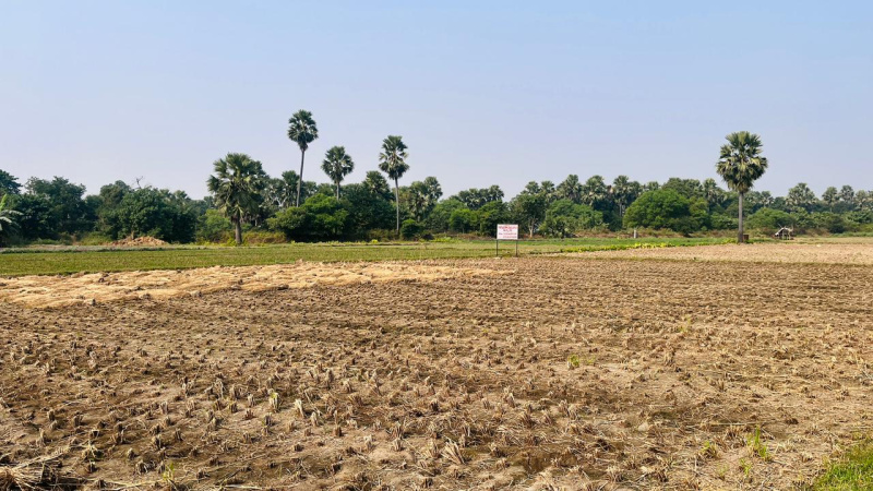  1200 Sq.ft. Residential Plot for Sale in Beldari Chak, Patna