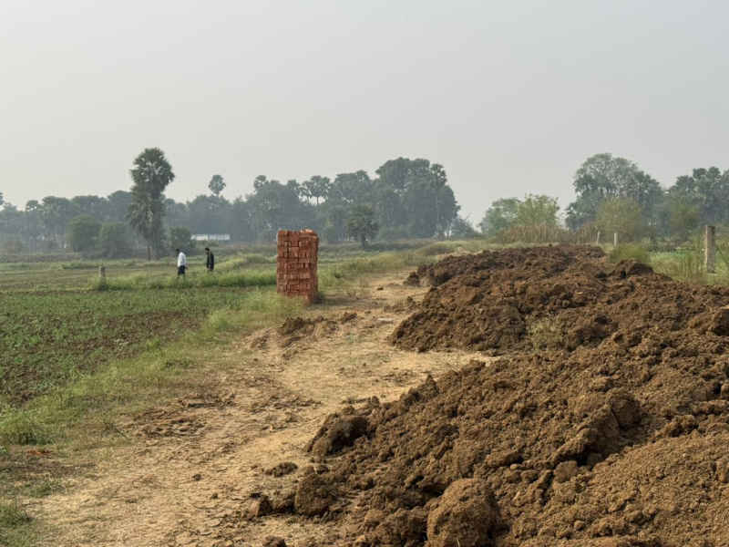  1200 Sq.ft. Residential Plot for Sale in Beldari Chak, Patna