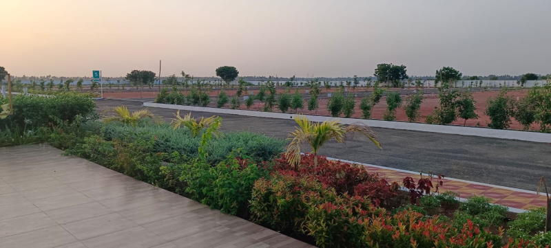  193 Sq. Yards Residential Plot for Sale in Madhavapatnam, Kakinada