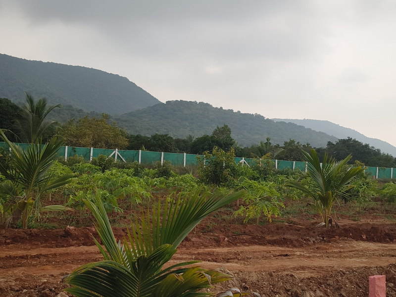  25 Cent Agricultural/Farm Land for Sale in Natham, Dindigul