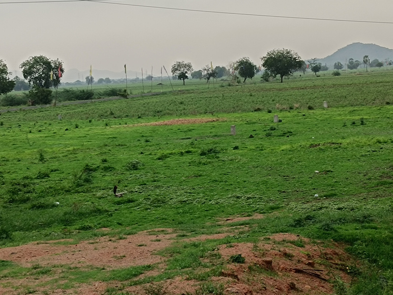 774 Sq. Yards Residential Plot for Sale in Amaravathi, Guntur
