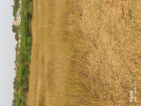  Residential Plot for Sale in Manavalan Nagar, Thiruvallur