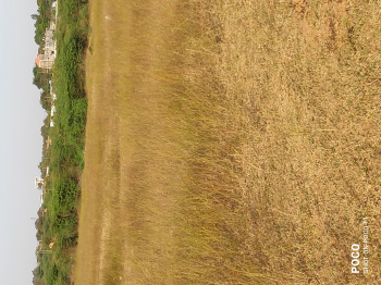  Residential Plot for Sale in Manavalan Nagar, Thiruvallur