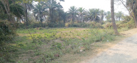  Residential Plot for Sale in Ghatshila, Jamshedpur