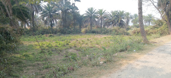  Residential Plot for Sale in Ghatshila, Jamshedpur
