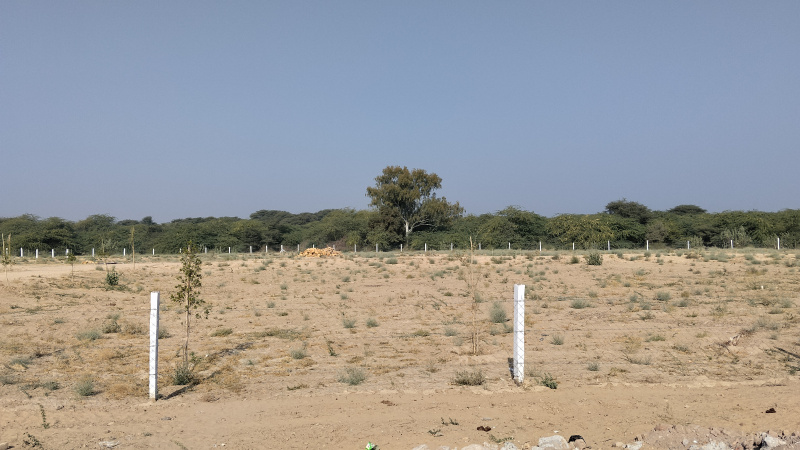  100 Bigha Agricultural/Farm Land for Sale in Kolayat, Bikaner
