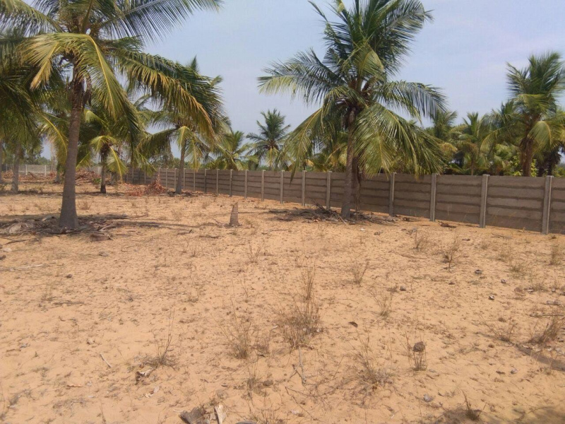  20018 Sq.ft. Residential Plot for Sale in Cheyyur, Chengalpattu