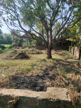  Residential Plot for Sale in Kankinara, Kolkata