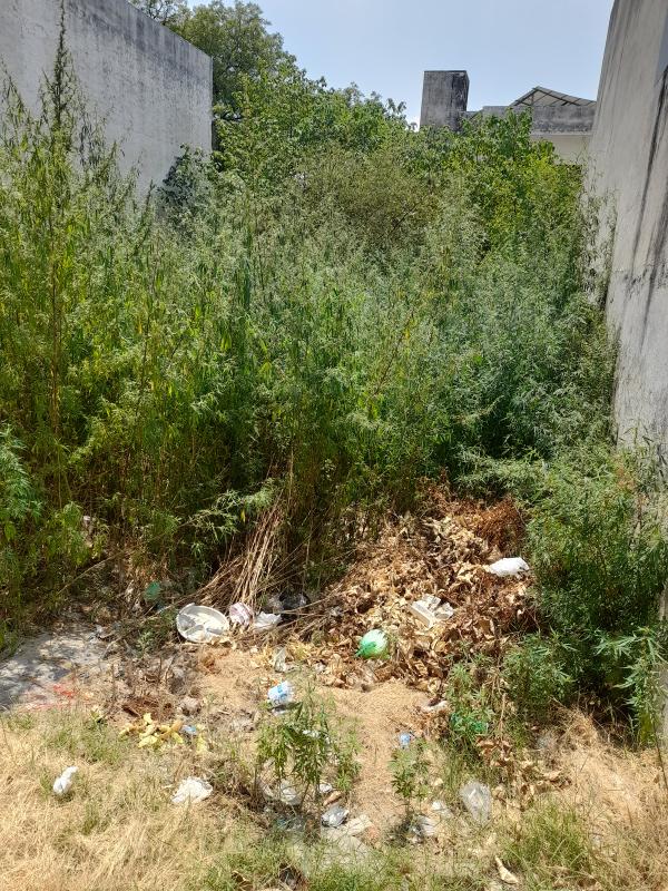  257 Sq.ft. Residential Plot for Sale in Nabha, Patiala