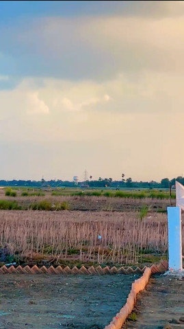  1200 Sq.ft. Residential Plot for Sale in Sonepur, Patna