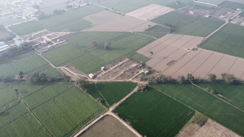  500 Sq.ft. Residential Plot for Sale in Tikri Kalan, Mundka, Delhi