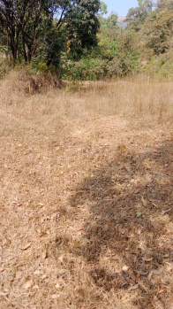  Agricultural Land for Sale in Taluka Velhe, Pune