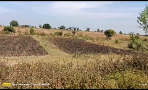  1 Acre Agricultural/Farm Land for Sale in Narayankhed, Sangareddy