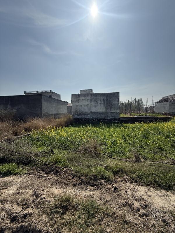  6 Marla Residential Plot for Sale in Barara, Ambala