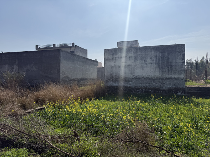  6 Marla Residential Plot for Sale in Barara, Ambala